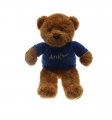 OEKO Customized Plush Teddy Bear with T-shirt 
